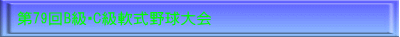 30SP^bNtStG{X|[c}X^[Y